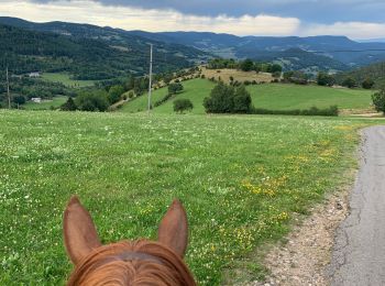 Trail Horseback riding Fraize - Fraize-Orbey - Photo