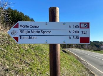 Percorso A piedi Calestano - Percorso 772 - Monte Castellaro - Jano - Percorso 772 - Photo