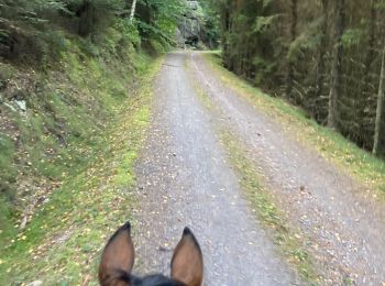 Trail Horseback riding Étival-Clairefontaine - Pierre d’appel etival claire fontaine  - Photo