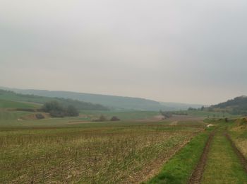 Tour Wandern Saint-Vaast-d'Équiqueville - St vaast d'esquive ville freulleville St Jacques d'aliermont - Photo