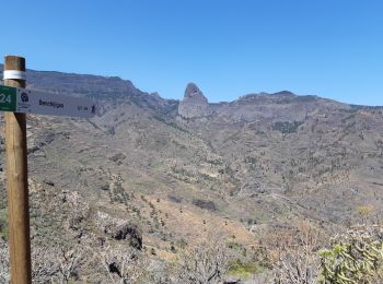 Tour Wandern Alajeró - Canaries - La Gomera - Imada - Jour 5 - Photo