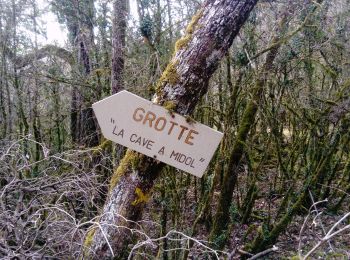 Trail Walking Premeaux-Prissey - Premeaux  circuit rouge forêt  - Photo