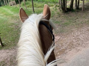 Trail Horseback riding Ingwiller - Laure67  - Photo