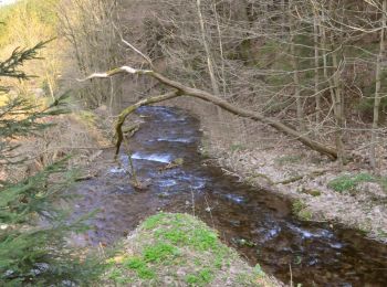 Trail On foot Unknown - Rennsteigleiter Ilmenau - Photo