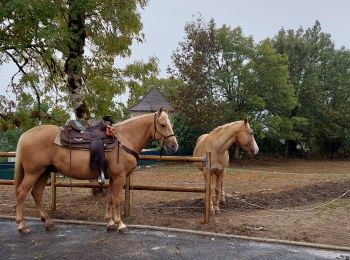 Trail Horseback riding Loubressac - Rando cavaliers Laroque Loubressac 9 Oct 22 - Photo