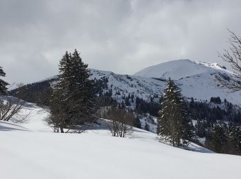 Percorso Racchette da neve Megève - COL DU JAILLETdepuis Maison Neuve 1280m - Photo
