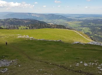 Tocht Stappen Jougne - Jougne-Le-Suchet - Photo