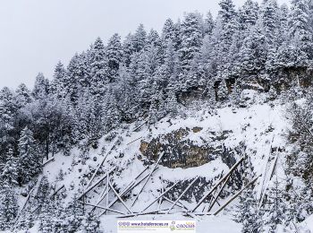 Excursión A pie Brașov - Șaua Tâmpei - Valea Cetății - Poiana Brașov - Photo