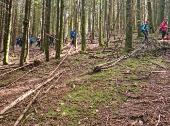 Trail Walking Masevaux-Niederbruck - Rando CLAS du 25/04/2024 - Photo