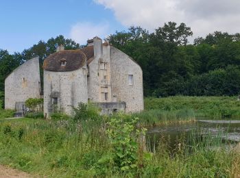 Randonnée A pied Taverny - Taverny Saint Leu la Forêt modifié - Photo