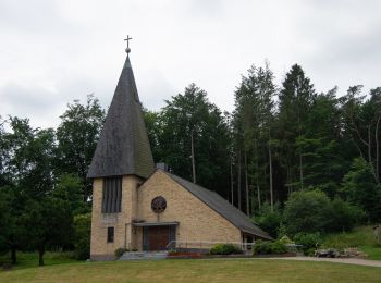 Tour Zu Fuß Fleckeby - Wanderroute 1: Fleckeby, Fellhorst, Gehege Krummland - Photo