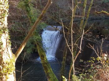 Trail Walking Lesaka - almendruitz - Photo