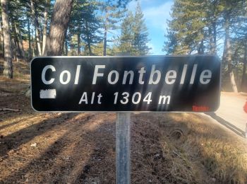 Trail Walking Le Castellard-Mélan - AUTHON . COL DE FONTBELLE . LA GRANDE AIGUILLE . GROTTE S VINCENT O L S - Photo
