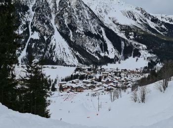 Excursión Raquetas de nieve Pralognan-la-Vanoise - Pralognan: Fontanettes par la cascade de la Faîche - Photo