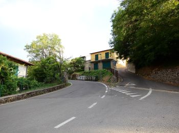 Trail On foot Chiusi della Verna - IT-042 - Photo