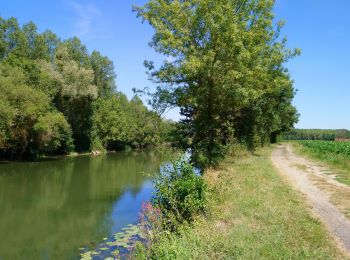 Trail Walking Rivarennes - Rivarennes - Circuit 1 - 18.2km 225m 3h55 - 2020 07 13 - Photo
