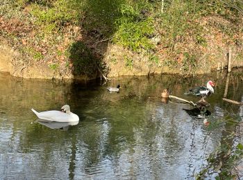 Tour Wandern Uzès - Fontaine d’Eure - Photo