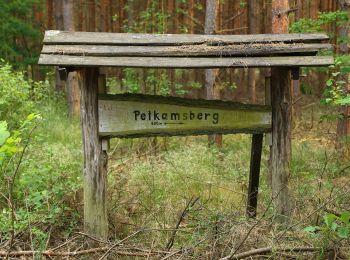 Percorso A piedi Schlepzig - Wanderweg Verbindungsstraße Lübben-Schlepzig - Photo