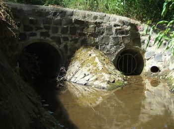 Tour Zu Fuß Butzbach - Wanderwege Wiesental - Eule - Photo