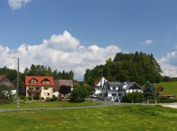 Excursión A pie Obertrubach - Trubachweg - Photo