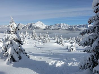 Randonnée Raquettes à neige Aillon-le-Jeune - Margeriaz-2021-01-16 - Photo