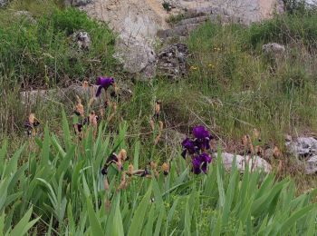 Tour Wandern Peille - Grave de PEILLE - Peillon - Peille - Photo