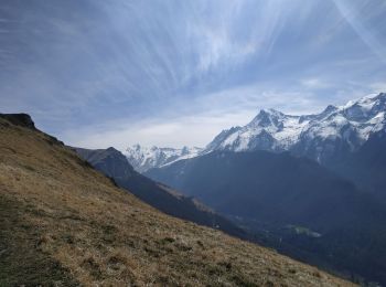 Tocht Stappen Béost - La montagne verte - Photo