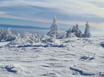 Tour Schneeschuhwandern Véranne - crets de l'oeillon - Photo