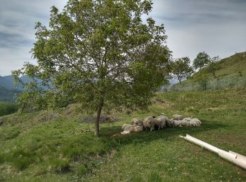 Tocht Te voet Valvestino - Molino di Bollone (Valvestino) - Droane (Valvestino) - Photo