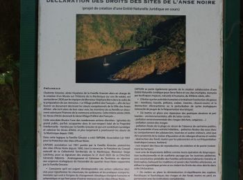 Tocht Stappen Les Anses-d'Arlet - Ravin d'Anse Noire - Photo