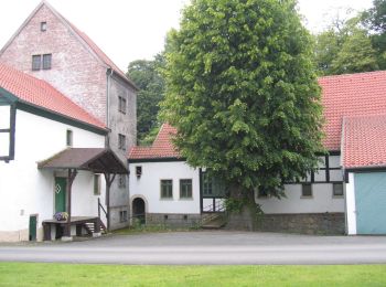 Excursión A pie Preußisch Oldendorf - Rundweg A8 Holzhausen-Heddinghausen - Photo
