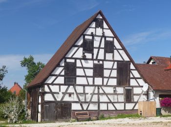 Tour Zu Fuß Altdorf bei Nürnberg - Altdorf 6a - Photo