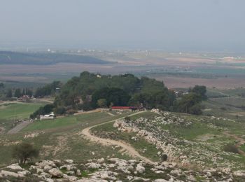 Tour Zu Fuß Regionalverwaltung Mateh Jehuda - יער הנשיא - ירוק - Photo