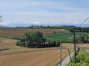 Randonnée Marche Muret -  Via Garona depuis Muret 24/04/2021 - Photo