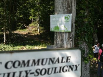 Tocht Stappen Bouilly - Forêt de Laines aux Bois - Photo