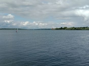 Tocht Stappen Éclaron-Braucourt-Sainte-Livière - Le Det - Photo