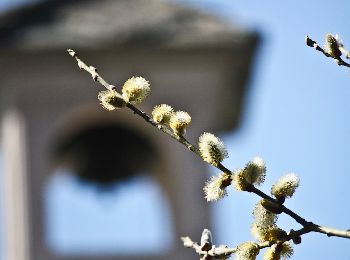 Tour Zu Fuß Monastero di Lanzo - IT-407 - Photo