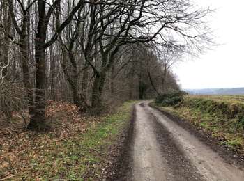 Randonnée Marche Ittre - Virginal-Samme - Photo