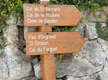 Tocht Stappen Peille - Peille : Cime du Baudon et Mont Ours - Photo
