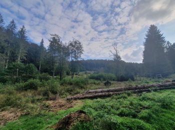 Randonnée Marche Martelange - rando forêt d anlier 17/09/2021 - Photo