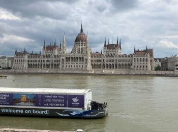 Percorso Marcia Sconosciuto - Budapest Chateau-Pont Elisabeth - Photo