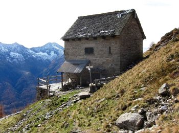 Excursión A pie Santa Maria Maggiore - M13 - Cortino - Passo della Margina - Photo