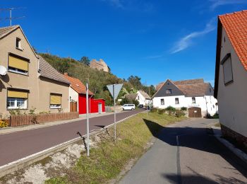 Randonnée A pied Gerbstedt - Rund um Friedeburg - Photo