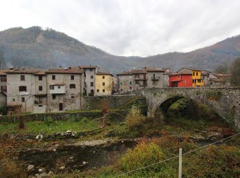 Tour Zu Fuß Castelnuovo di Garfagnana - Il Sentiero dell'Ariosto - Photo
