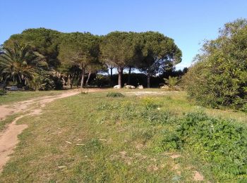 Trail On foot Alghero - sentiero giallo - Photo