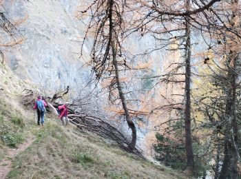 Excursión Senderismo La Chapelle-en-Valgaudémar - le Chapeau  - Photo