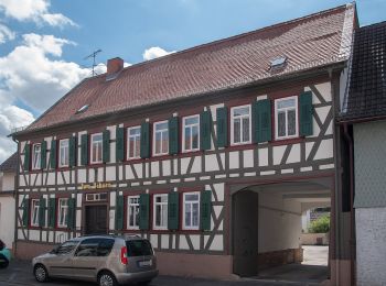 Tour Zu Fuß Reinheim - Ortsrundwanderweg Reinheim 3 - Photo