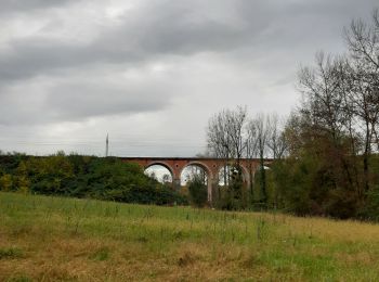 Tocht Stappen Lhez - Lhez-Les ponts G4 fait en 2021 - Photo
