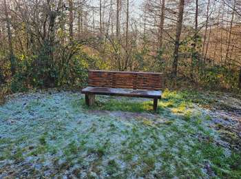 Trail Walking Gedinne - Balade à Patignies - Gedinne - Photo