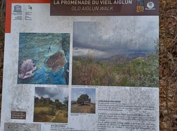 Trail Walking Aiglun - AIGLUN.  Le vieil Aiglun , sommet du Puy o l s - Photo